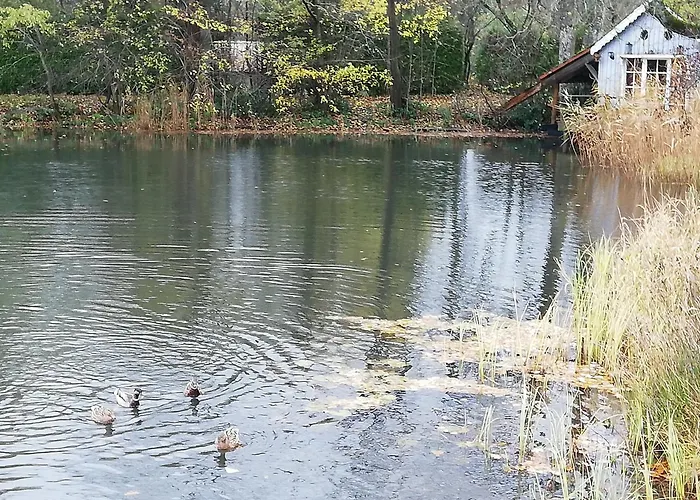 La cabane sur l\'eau